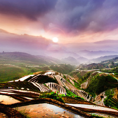 景点模块 