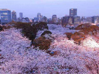 日本旅游最佳路線_日本旅游幾月份最便宜_深圳日本六日游純玩團(tuán)