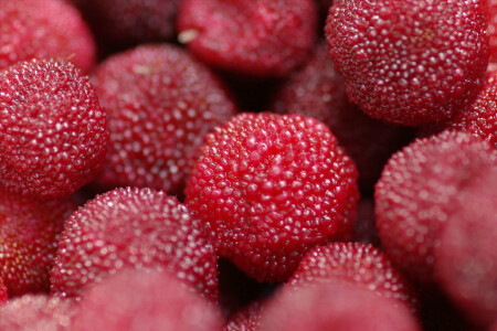 food_picture