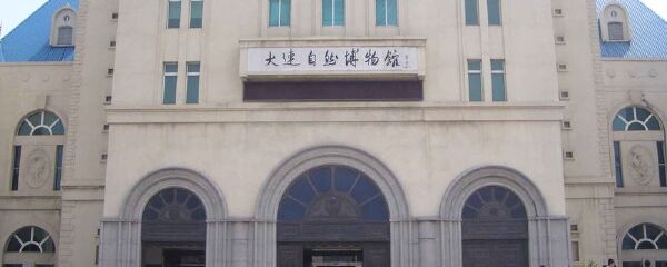 从星海公园到大连现代博物馆公车线路_从星海