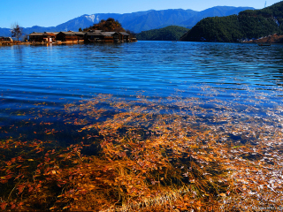 東莞到云南麗江游_2021去云南麗江旅游團(tuán)報(bào)價(jià)_怎么去云南麗江旅游