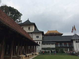斯里蘭卡八月份旅游_斯里蘭卡游組團(tuán)_斯里蘭卡游跟團(tuán)多少錢