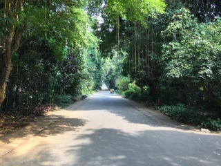 斯里蘭卡跟團還是自由行_斯里蘭卡旅游跟團需多少錢_組團去斯里蘭卡