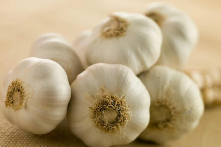food_picture