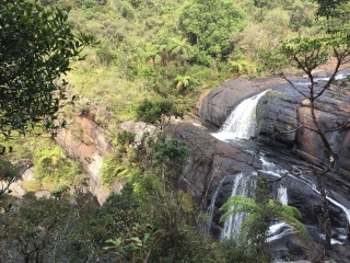 斯里蘭卡游價(jià)格_斯里蘭卡旅游大概多少錢(qián)_旅游團(tuán)斯里蘭卡
