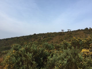 斯里蘭卡旅游多少錢_2021去斯里蘭卡旅游團報價_斯里蘭卡旅游價格多少跟團