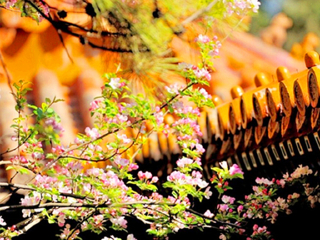 北京旅游報團(tuán)價格_8月北京旅游_北京六日旅游