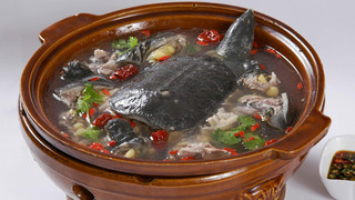 营养甲鱼汤
