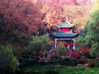 湖南張家界游花多少錢_湖南張家界旅游團(tuán)_暑假湖南張家界游價(jià)格
