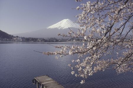<日本东京-箱根-富士山机票+当地6日半自助游>全日空，纯玩无购物，精品小团，3天自由活动，奥特莱斯一日游，指定入住王子系列或同级酒店