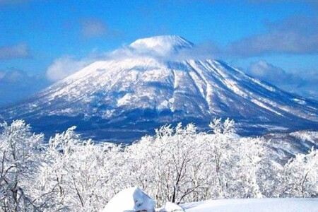 吉林-雾凇岛-长白山-火山温泉4日游冰雪奇观,特色美食