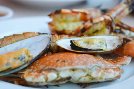food_picture