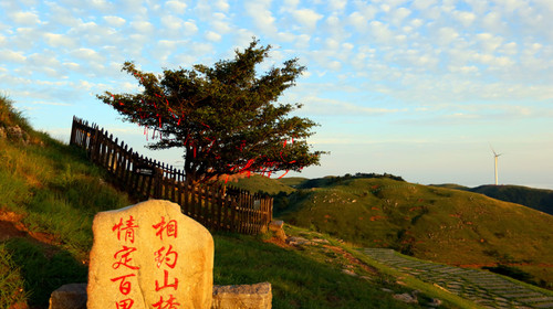 [国庆] 百里荒高山草原自驾1日游>摄影之旅 亲临纯爱圣地 感受三峡大