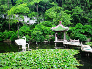 春节期间贵州旅行_贵州旅游中国_贵州报团旅游多少钱