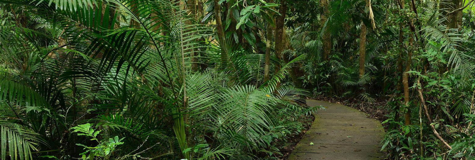 库兰达热带雨林公园