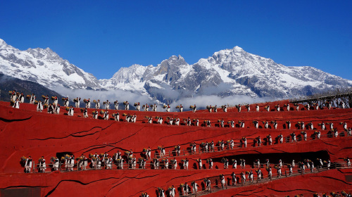 丽江玉龙雪山冰川公园1日游0购物,含冰川大索道,蓝月谷, 赠送氧气