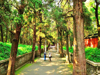山東青島自由游價(jià)格多少_山東青島報(bào)團(tuán)旅游多少錢(qián)_山東青島九月旅游