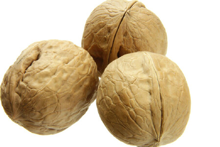 food_picture