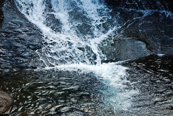 循山间小径,踏幽谷,听流泉,攀栈道,渡索桥, 涧两岸高大的松柏树,挡住