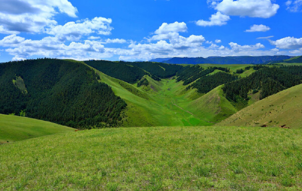 劳动节去定西穿衣指南_劳动节去定西穿什么衣