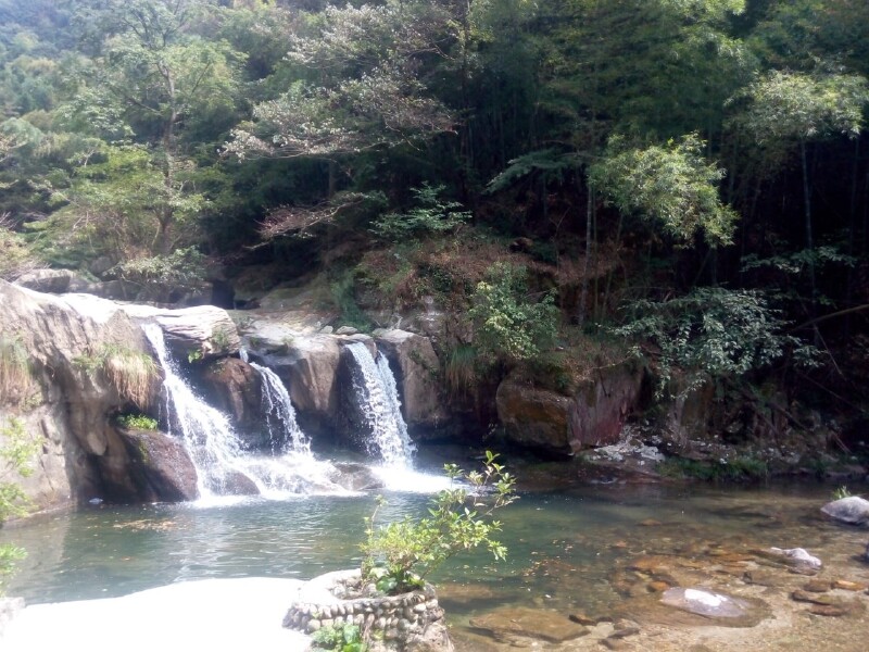 乌龙潭三宝树黄龙寺从芦林大桥入口入向下走就是三宝树.