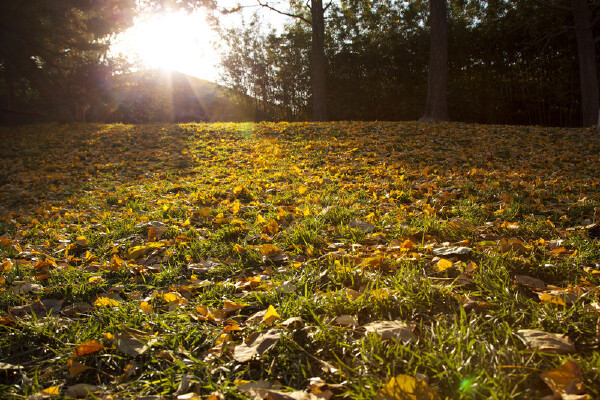 湖州周边一日游攻略旅游必备物品_湖州周边一