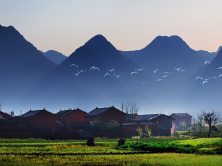 云南昆明游報(bào)價(jià)_旅游團(tuán)云南昆明_云南昆明高端品質(zhì)旅游團(tuán)