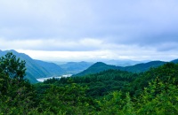 行摄图们江国家森林公园