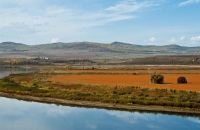 行摄伊克萨玛国家森林公园