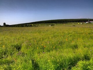 呼伦贝尔国际旅行_呼伦贝尔旅游组团旅游_呼伦贝尔旅游多少价格