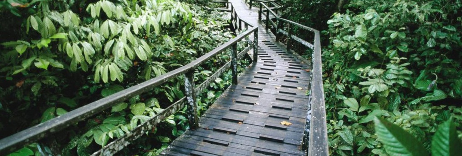 西必洛猿人保护区