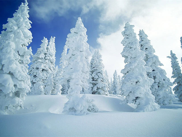 [元宵] 哈尔滨-雪乡-镜泊湖冰瀑-长白山-万达滑雪双卧