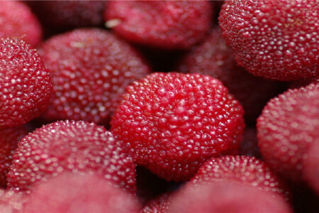 food_picture
