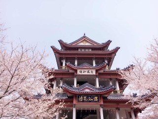 华东十一日游_跟团旅游华东旅游_华东旅游包团