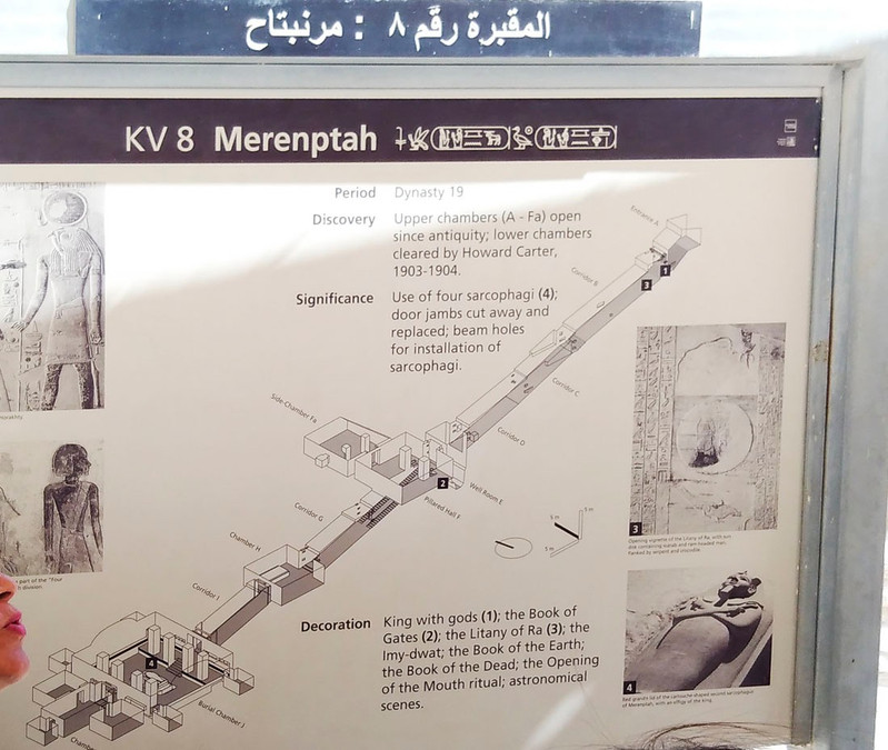 merneptah (kv8): 壁画比较精美,安葬着