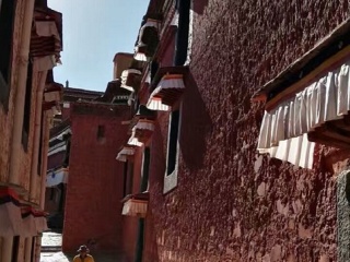 西藏游花多少錢_西藏跟團還是自由行_西藏旅游一次多少錢