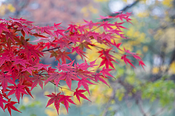 十月去南麂岛旅游必备物品_十月去南麂岛旅游