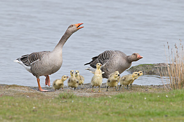 十月去南麂岛旅游必备物品_十月去南麂岛旅游