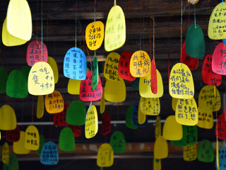 西双版纳十日游价格_旅游团西双版纳_深圳特价西双版纳游