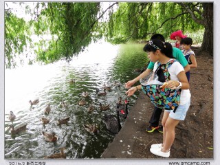 去新西蘭旅游_新西蘭旅游報(bào)價(jià)_新西蘭旅游團(tuán)報(bào)價(jià)