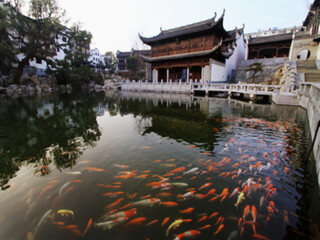 婺源旅游跟團(tuán)需多少錢_婺源旅游大概多少錢_去婺源游怎么省錢