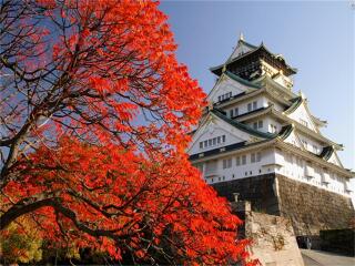日本自由游价格多少_日本十日跟团游_到日本旅游线路