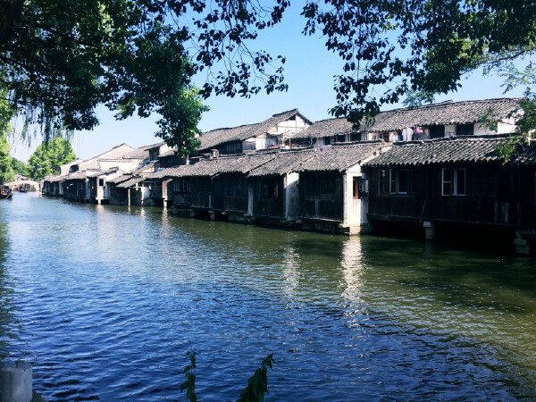 桐乡市旅游最好_桐乡市什么时候好玩_桐乡市