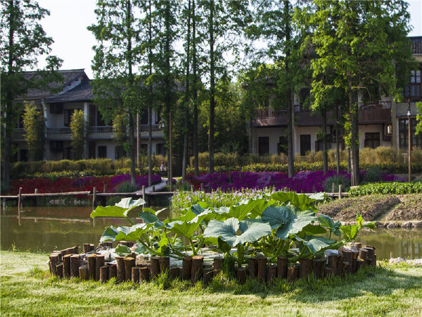 桐乡市旅游最好_桐乡市什么时候好玩_桐乡市
