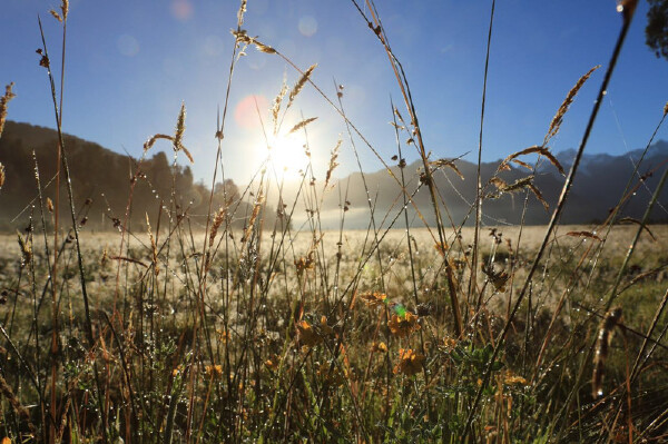 瓦努阿图好玩吗_瓦努阿图哪比较好玩_瓦努阿