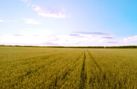 参加渔阳金秋旅游节