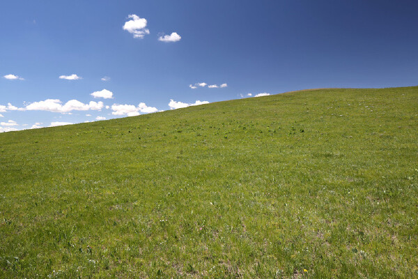 乌拉特前旗旅游最好_乌拉特前旗什么时候好玩