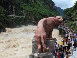 旅游團(tuán)云南西雙版納_到云南西雙版納旅游報團(tuán)價格_云南西雙版納旅行團(tuán)自由行