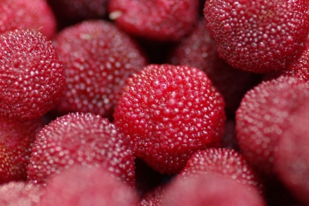 food_picture