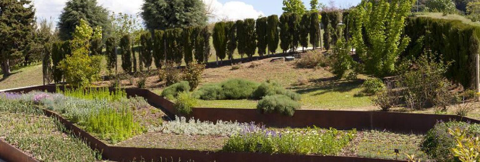 【2018】塔希提植物园旅游攻略_塔希提植物园